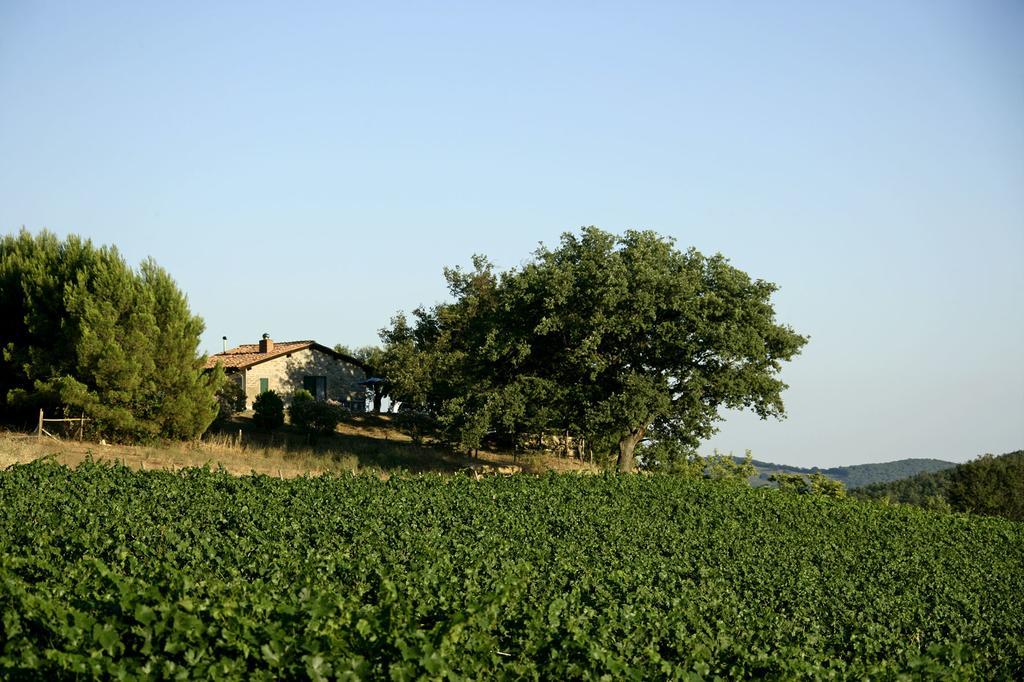 Villa Fattoria Poggio Foco Manciano Zimmer foto